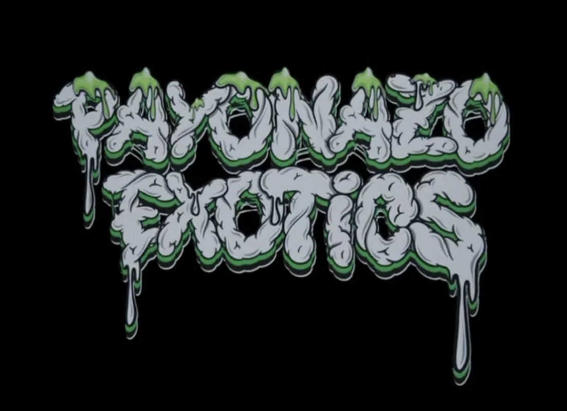 payonazoexotics.shop